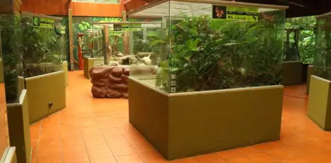 Selvatura Park Monteverde Canopy Tour Serpentarium