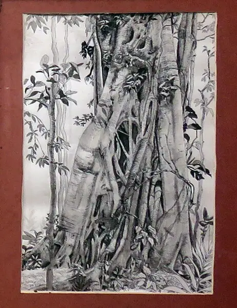Lucky Guiindon Pen and Ink
