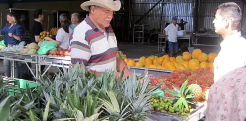 Farmers Market Monteverde