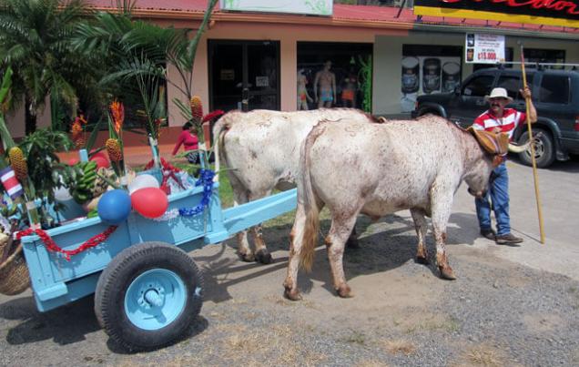 Independence Day Monteverde Costa Rica