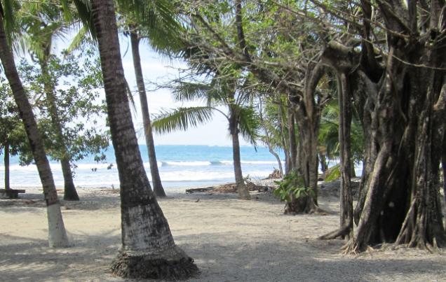 Transportation Samara Beach
