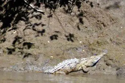 Palo Verde Tour Guanacaste Costa Rica