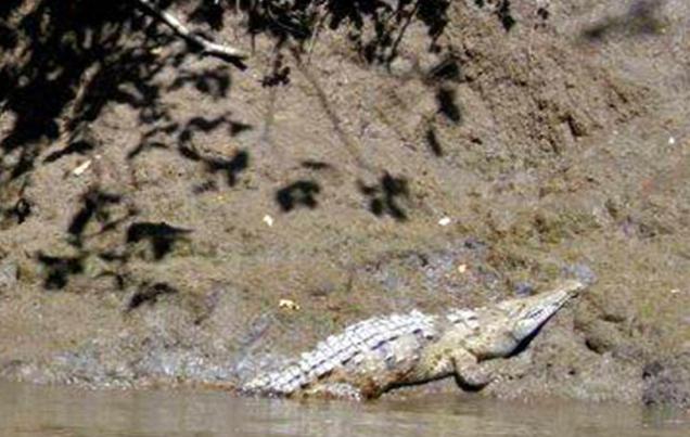 Palo Verde Tour Guanacaste Costa Rica