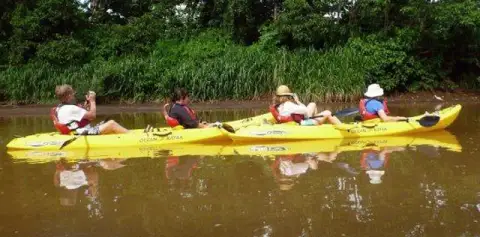 Kayaking Birding Costa Rica