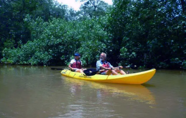 River Kayaking Wildlife Tour Samara Costa Rica