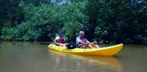 Kayaking Birding Tours Samara