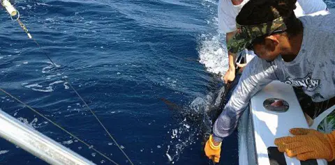 Sport Fishing Samara Beach