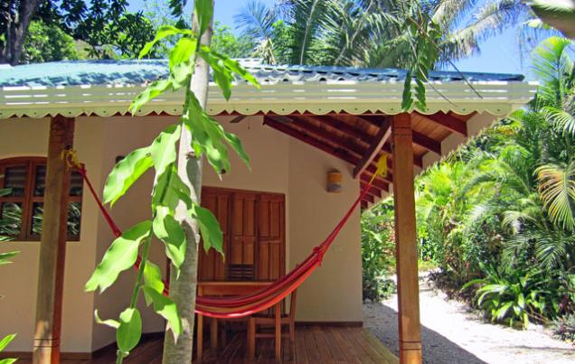 Pequeno Gecko Verde Costa Rica