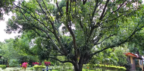 Gardens Hotel Aeropuerto