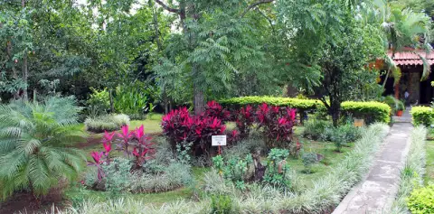 Hotel Aeropuerto Gardens