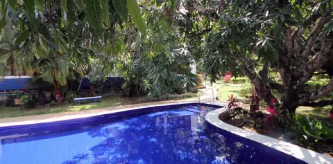 Pool Hotel Aeropuerto