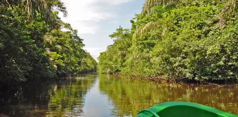 Tortuguero Two Day Trip from San Jose Costa Rica