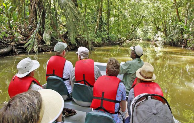 2 or 3-Day Tour of Tortuguero Costa Rica