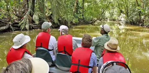 Tortuguero Wildlife Viewing