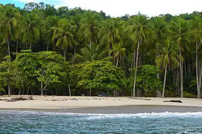 Tours to Tortuga Island Costa Rica