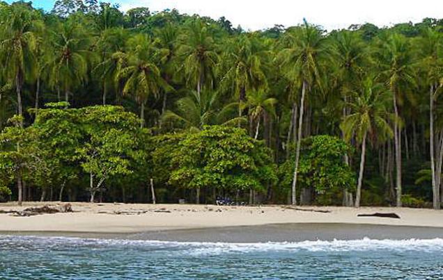 Tours to Tortuga Island Costa Rica
