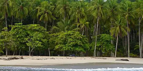 Calypso's Cruise to Tortuga Island Costa Rica