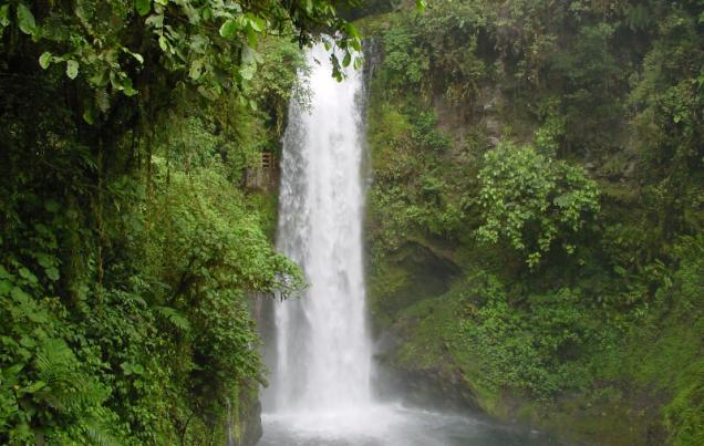 Volcano, Coffee and Waterfall Tour Costa Rica