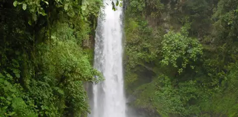 Poas Volcano, Doka Coffee Tour and La Paz Watefall Costa Rica