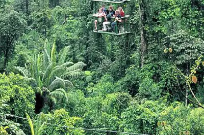 Rain Forest Aerial Tram Atlantico Costa Rica