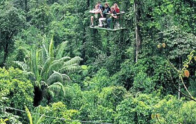 Rain Forest Aerial Tram Atlantico Costa Rica