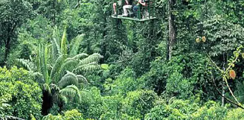 Rain Forest Aerial Tram Costa Rica