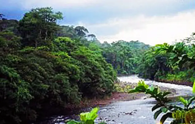 Rainforest Adventure 3 in 1 Costa Rica