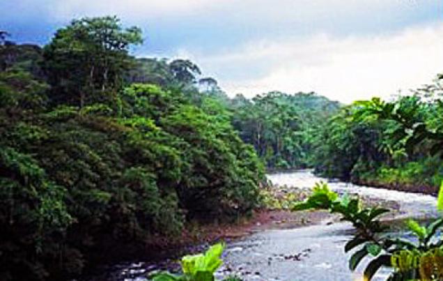 Rainforest Adventure 3 in 1 Costa Rica