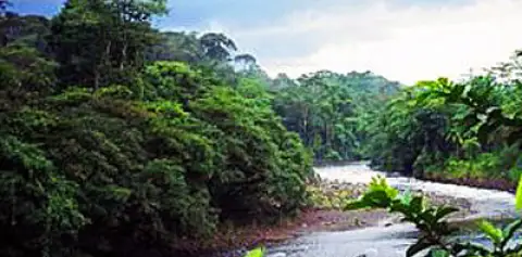 One Day Tour out of San Jose Costa Rica. 3-in-1 Rainforest Adventure