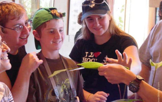 Butterfly Garden Monteverde Costa Rica