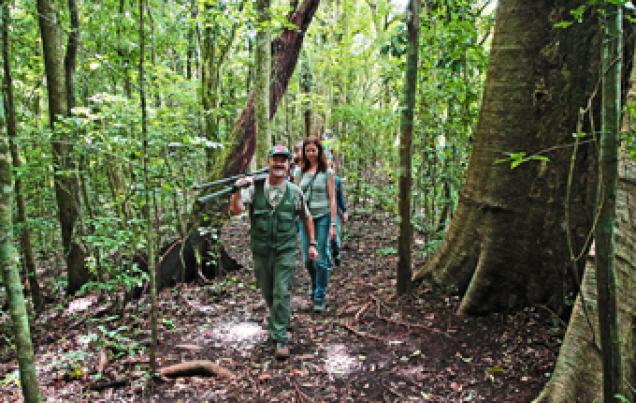 Curi-Cancha Refuge Monteverde Costa Rica