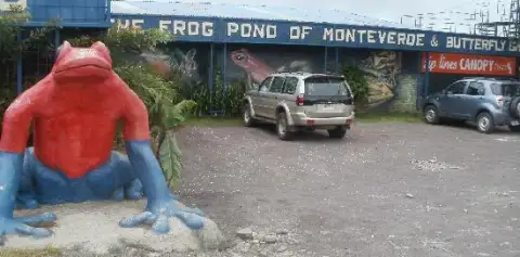 Frog Pond El Renario Monteverde
