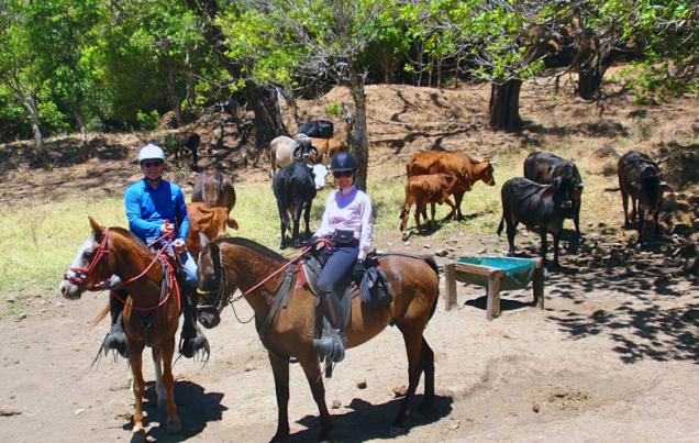 Costa Rica Horseback Riding All Day Cowboy Ride