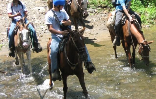 Horseback Riding Costa Rica