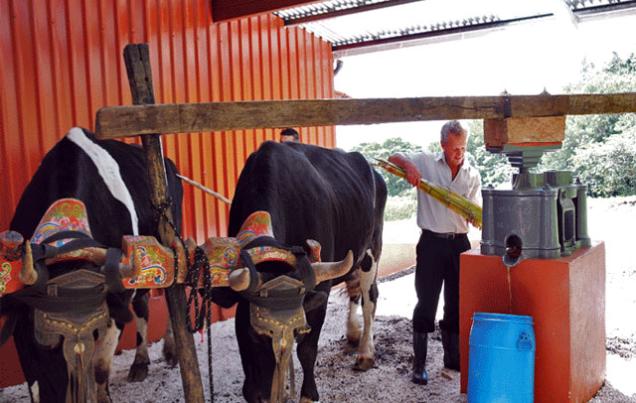 El Trapiche Tour Monteverde Costa Rica