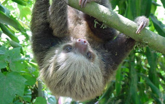 Monteverde Night Tour Costa Rica Guided Night Hike