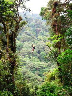 Tourism in Monteverde Tourism in Monteverde Costa Rica
