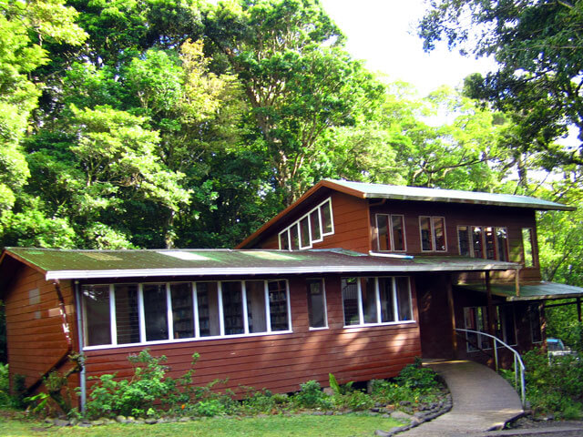 Library Monteverde Monteverde Library